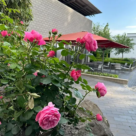 Ideenraum * Osnabrück